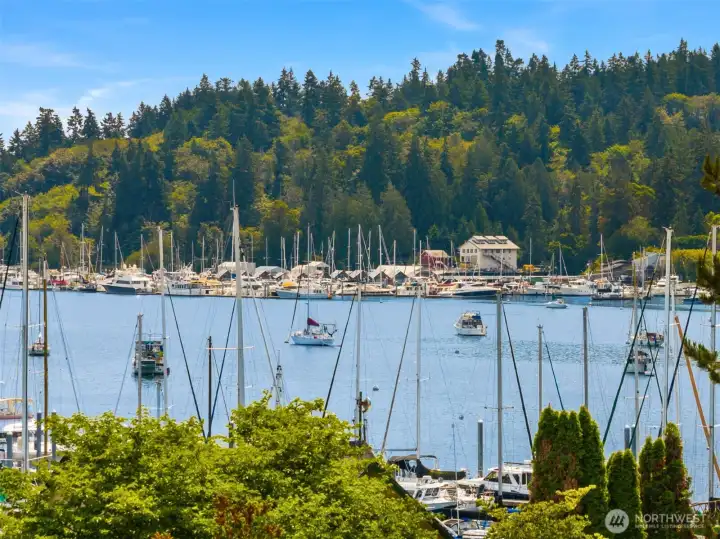 Eagle Harbor at it's best