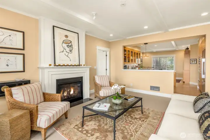 Propane fireplace