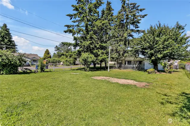 Large backyard with level lawn features 3 gates for access - looking towards the backside of the house