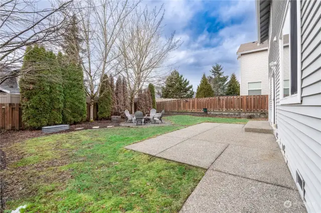 Backyard - fully fenced with garden space!