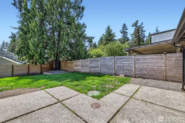 A new wood fence encloses the entire back of the home. Septic access covers are located just off the patio.