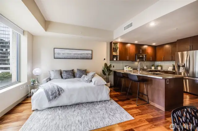 Sofa Bed or floor plan has room for a Murphy Bed