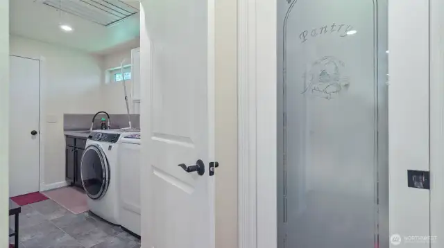 Walk-in pantry is between kitchen and laundry which is off of the garage. Very convenient layout.