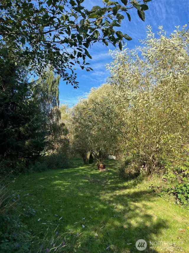 Trail