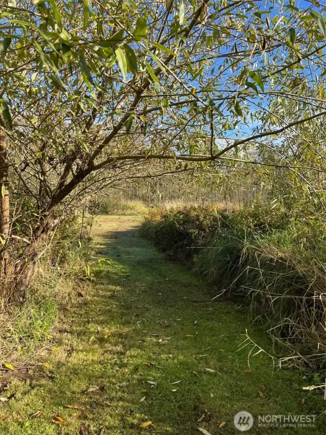 Trail