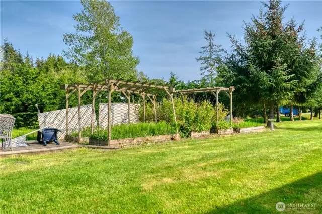 Garden area