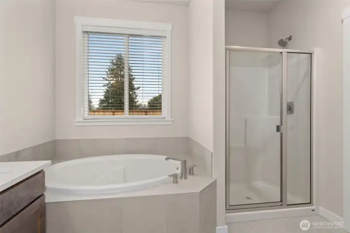 Primary bathroom comes with a standard separate walk-in shower with glass door and a separate, private water closet.