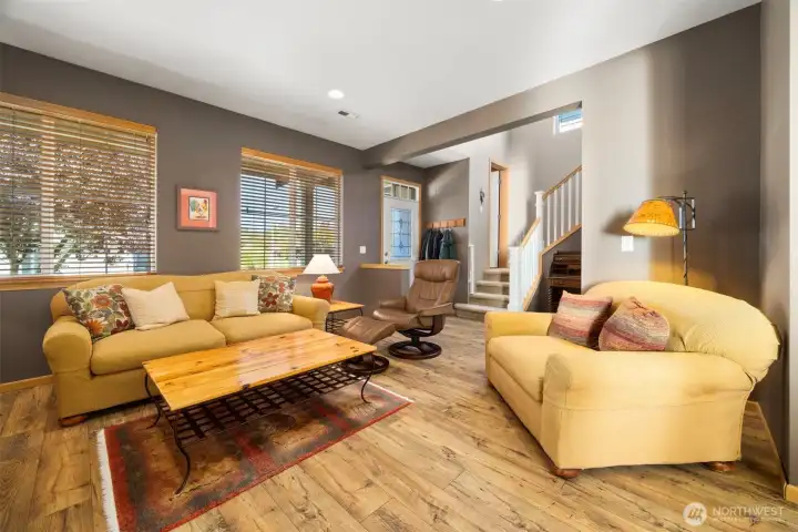 The living room is quite spacious and gets afternoon sunlight.