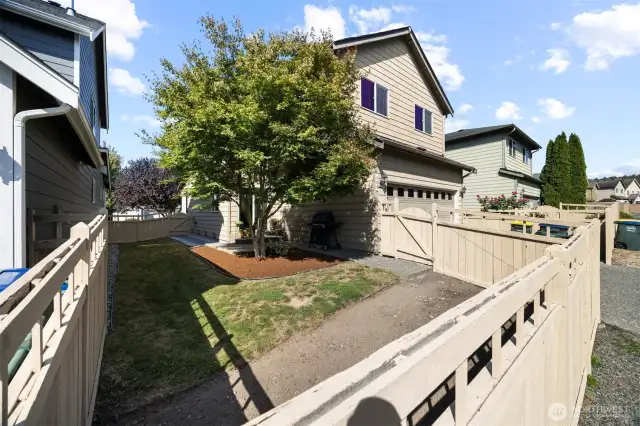 Looking at the back yard that is completely enclosed.