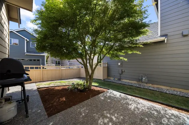 The back yard is so easily maintained.