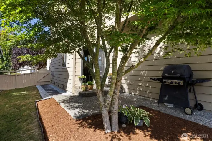 Looking at the rear patio and BBQ area off the dining room.