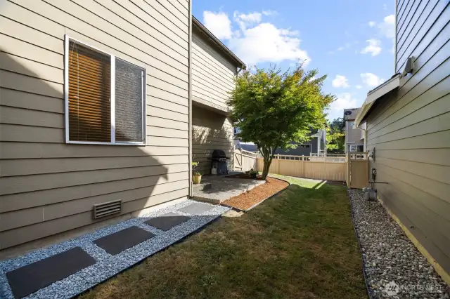 Another view of the rear yard.