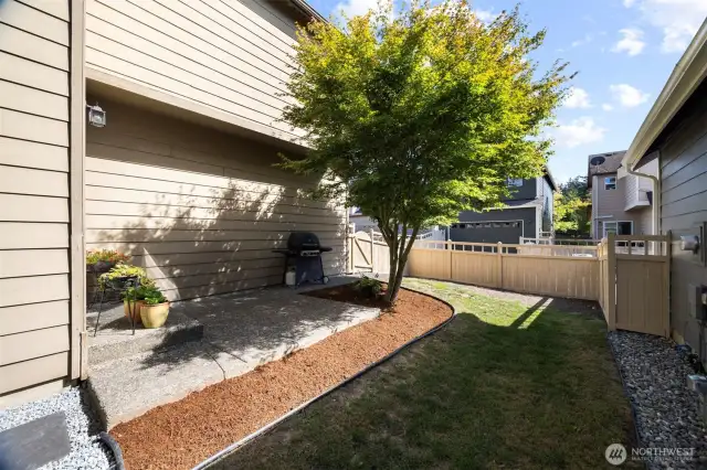 There is a great BBQ area just off the patio that opens to the dining room.