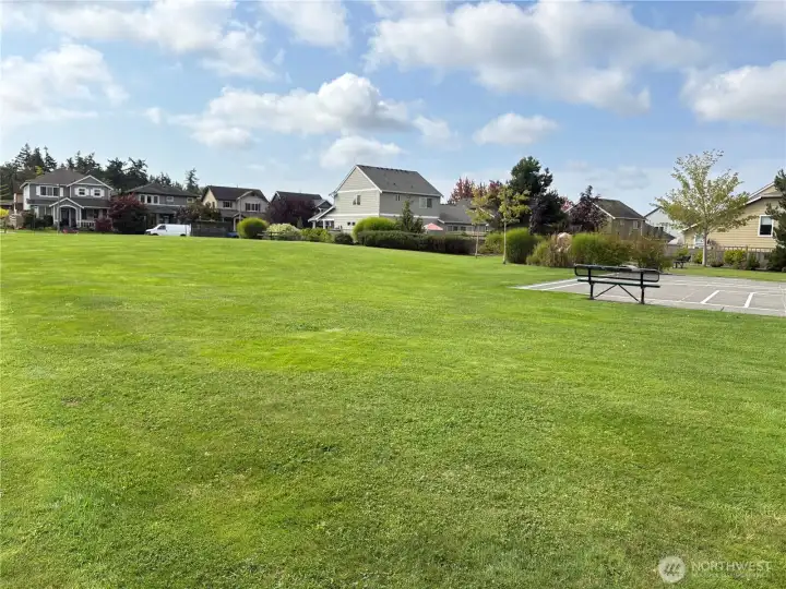 The park across the street is huge with a large grass yard.