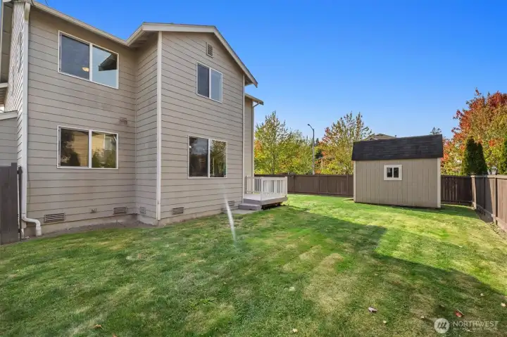 View across the back yard.
