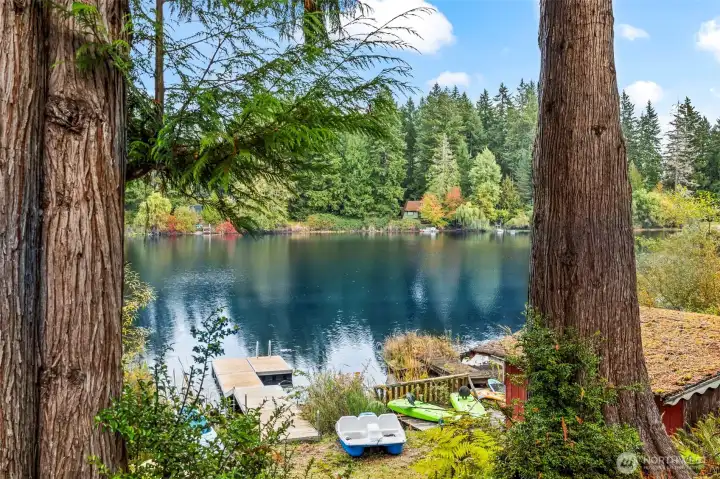 125 feet of private shoreline is effortlessly enjoyed from the dock or on the water.