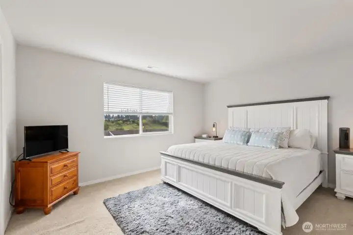 Primary Bedroom  -  Mountain View
