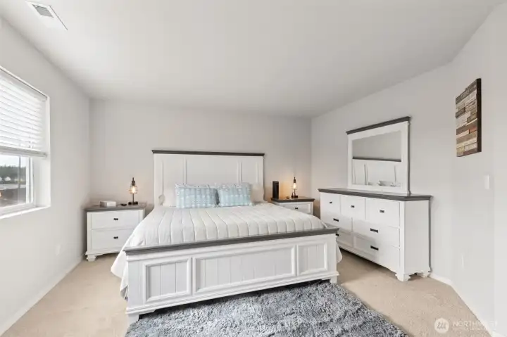 Primary Bedroom - 2nd Level  -  Lots of Natural Light