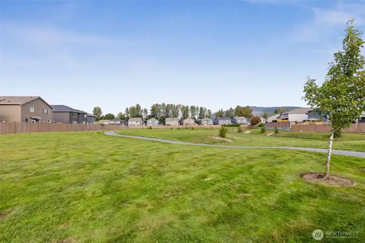 Common Area View  -  Open Green Space View from Front of Home