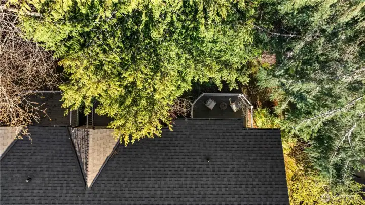 Enjoy the privacy offered by the trees; view of the patio from above.
