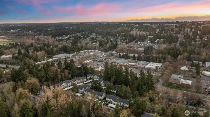 Tons of shopping less than a mile from your new house!