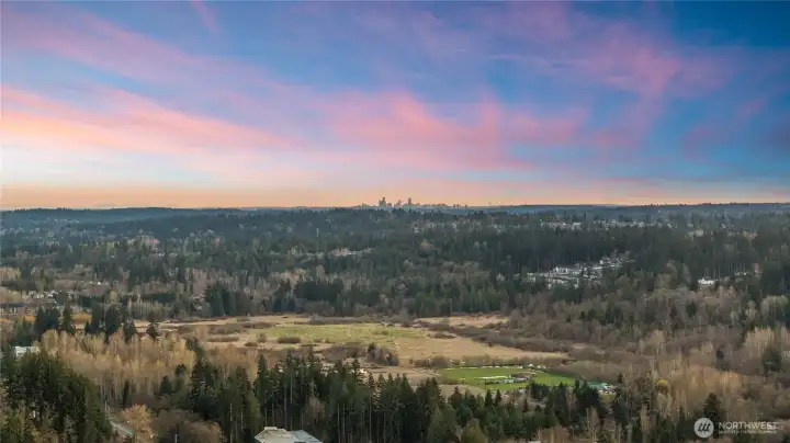 Seattle in the distance; easy access via the 405 or the 5!