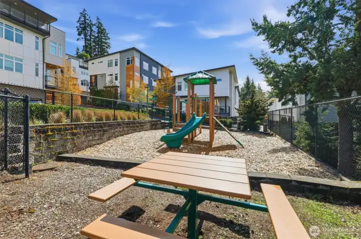 Community recreation area