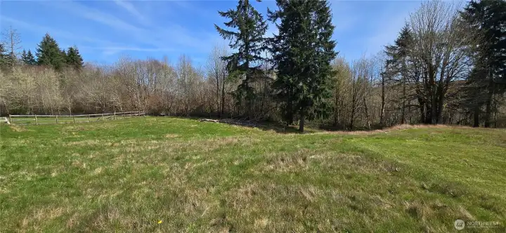Lower section of pasture with tree cover