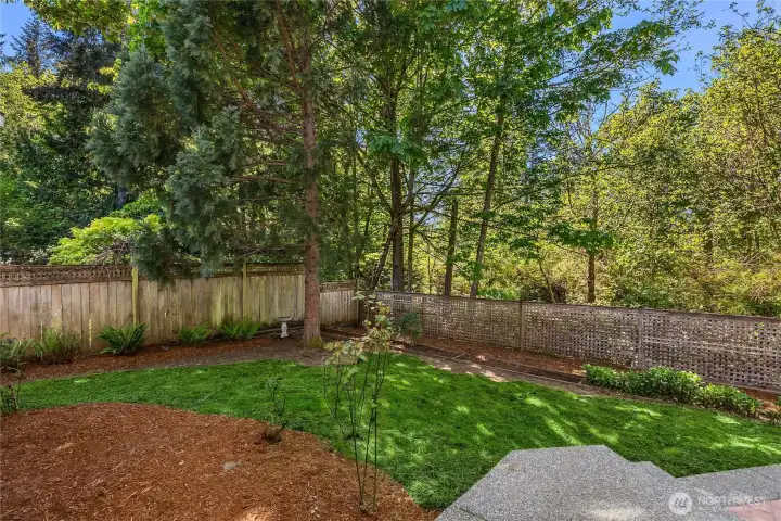 Private fence back yard.