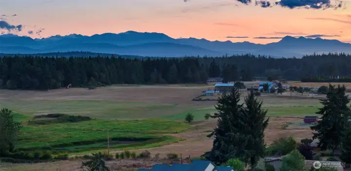 Yes, this really is what it looks like over the pasture at night.