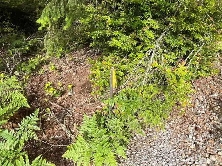 Property line Property line