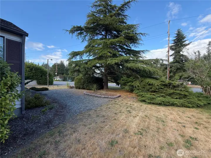 Front yard. Front yard.