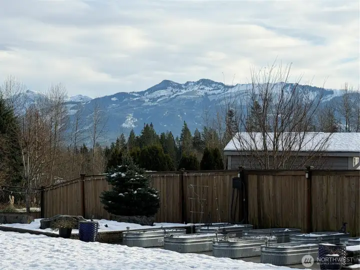 View from backyard during winter. View from backyard during winter.