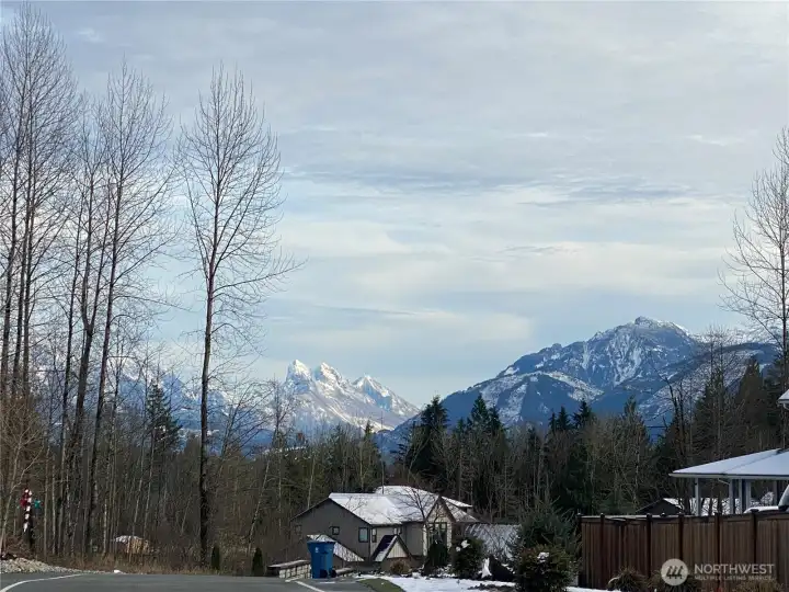 Winter time walks in the neighborhood. Winter time walks in the neighborhood.