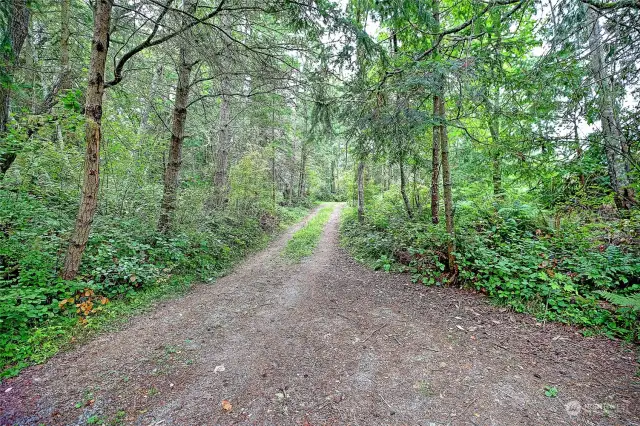 Secondary driveway with exit out to West Camano Dr.