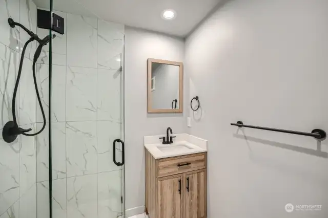 Lower level bathroom