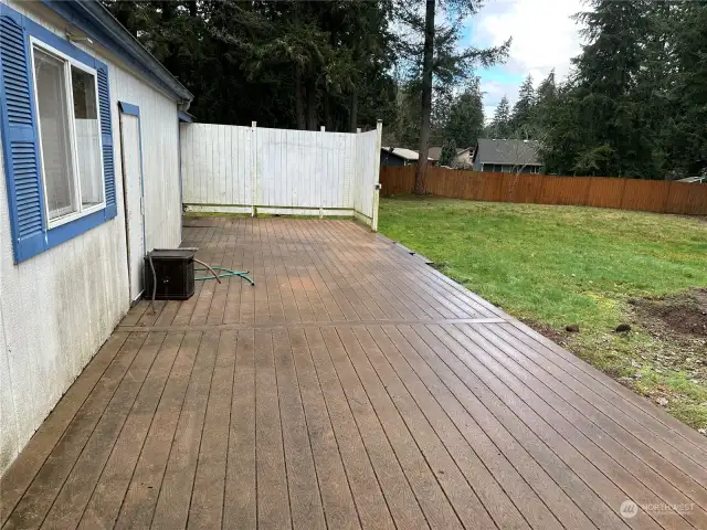 Trex deck extending along the back of home