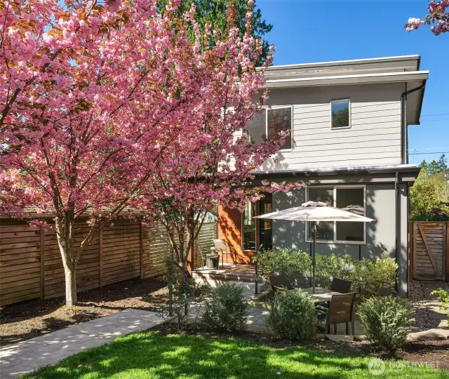 Gorgeous Backyard - Easy to maintain