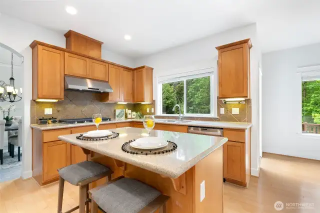 Gourmet kitchen with quartz countertops, center island, undercabinet lighting, and BRAND NEW Samsung gas cooktop & vent hood.
