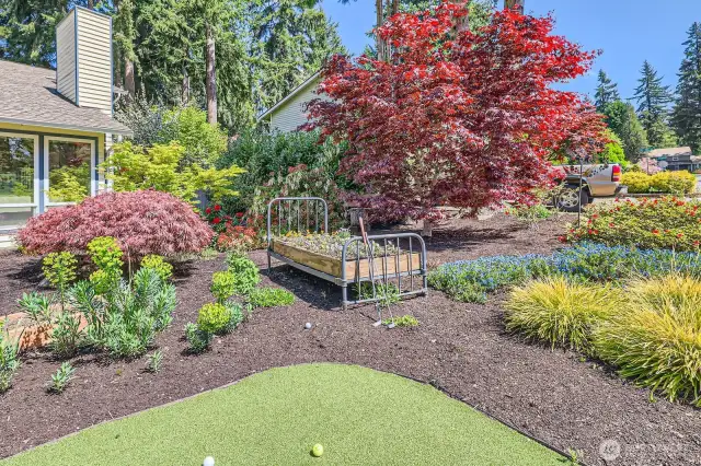 Front yard