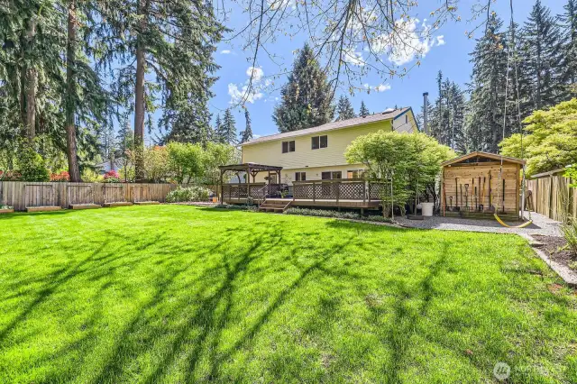 Back Yard