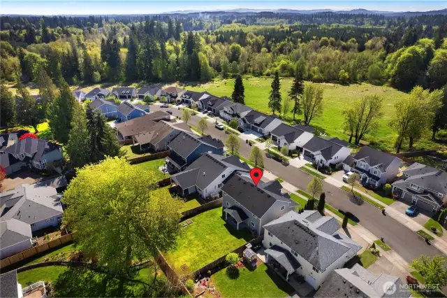 Deschutes Heights is a great neighborhood in Tumwater School District.