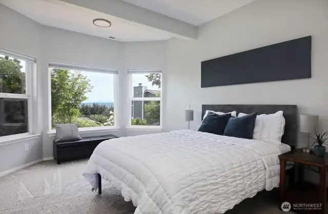 Second lower level bedroom