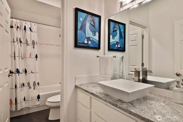 Lower level guest bathroom