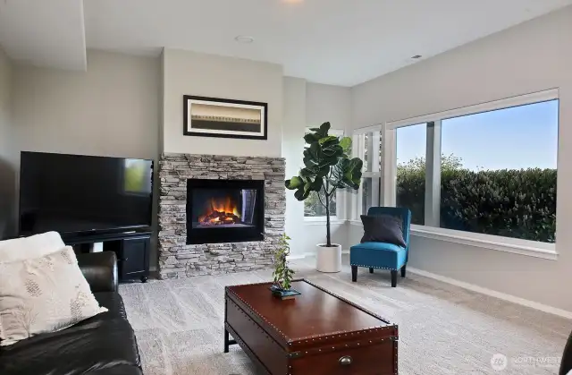 Spacious family room on the lower level with slider out to front patio