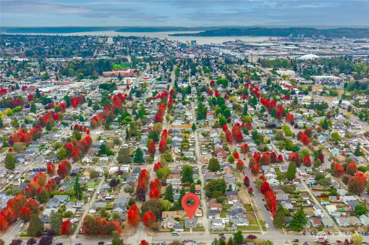 Drone of neighborhood.  Look at those beautiful trees!