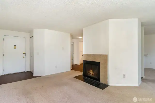 Living room and entrance