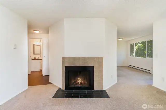 Wood fireplace