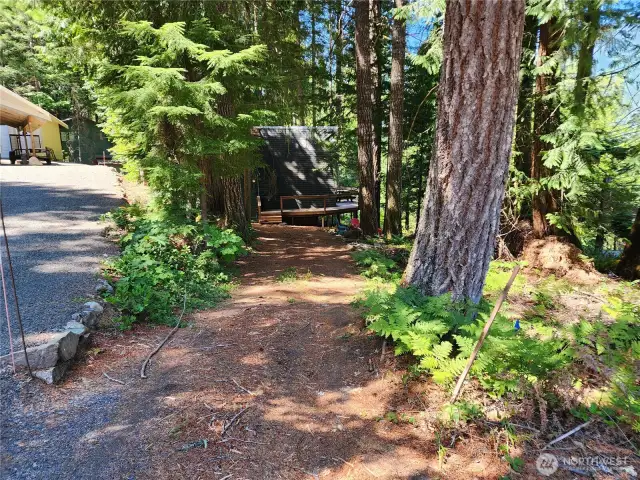 driveway from Forest Lane