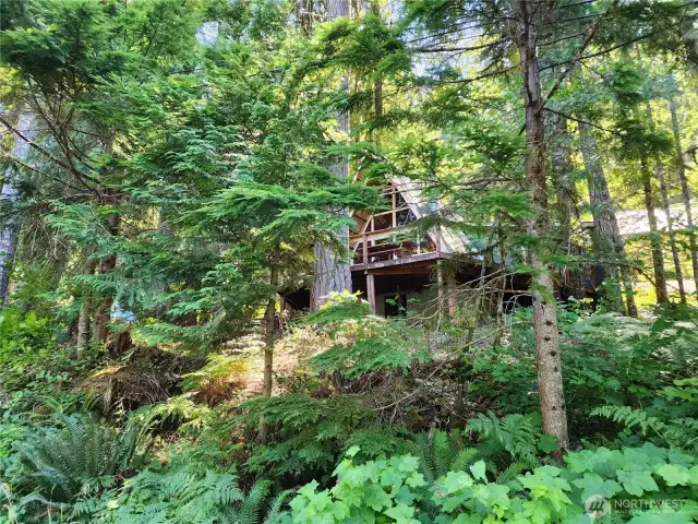 view of house from Forest Ridge